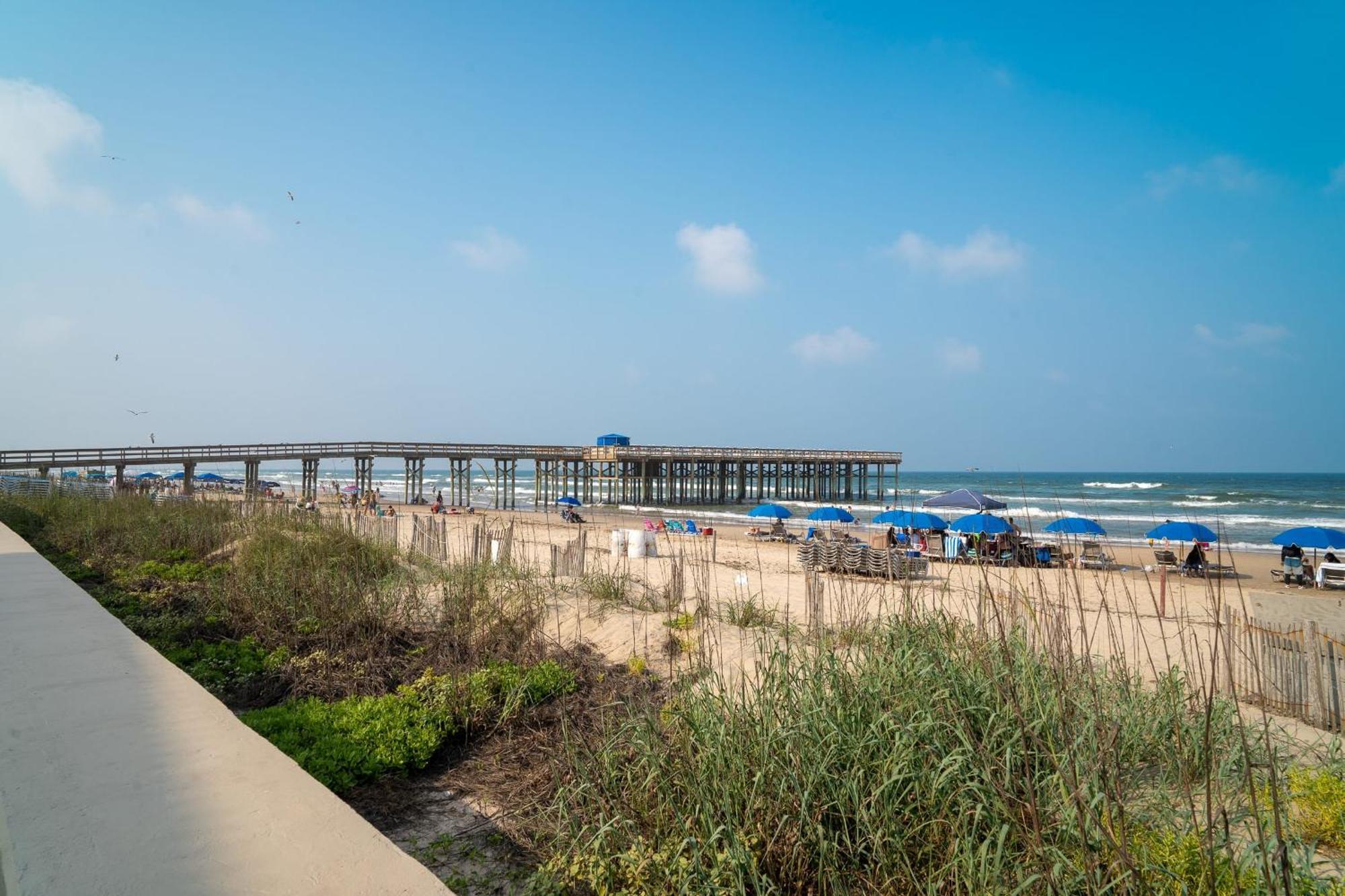 Kingfishers Retreat Serene 1Br Escape With Balcony 207 South Padre Island Exteriör bild